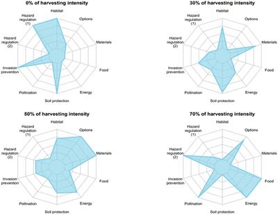 Designing multifunctional forest systems in Northern Patagonia, Argentina